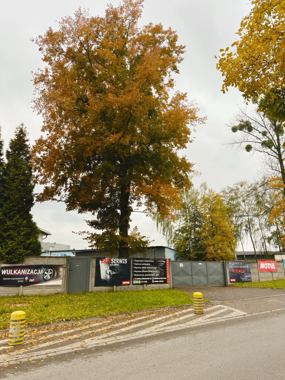 Samochód w warsztacie
